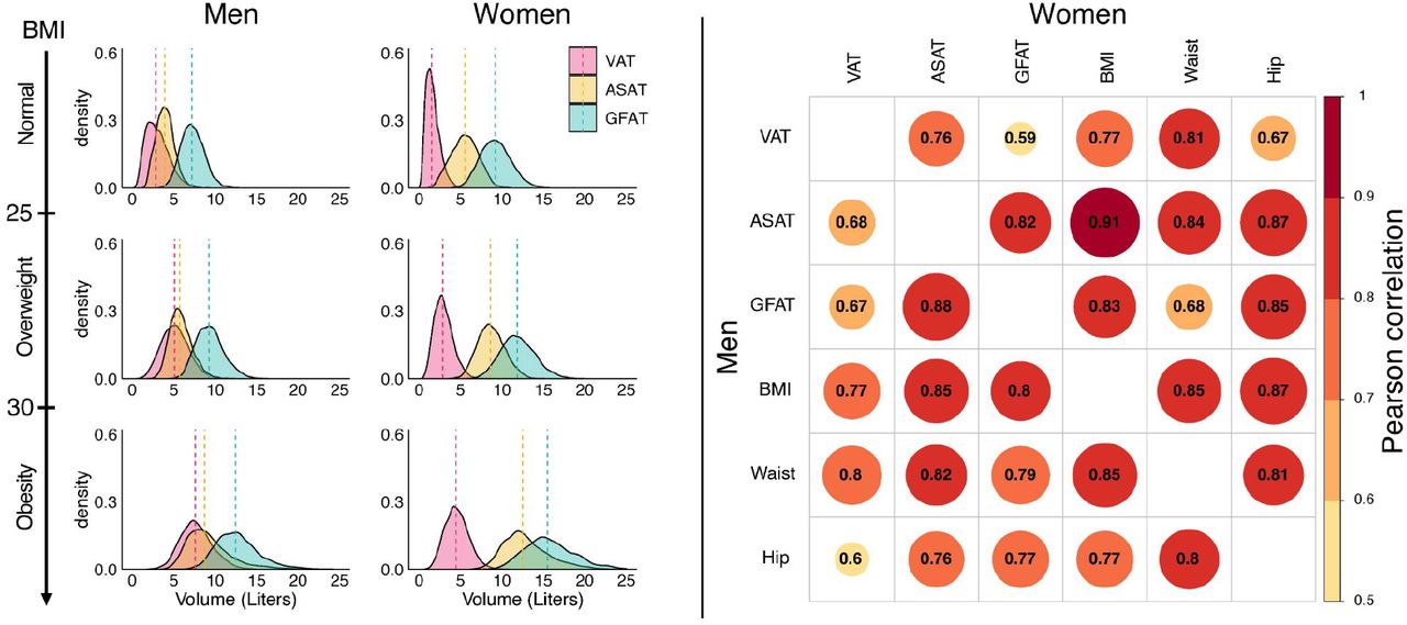 Frontiers  DXA-Derived Adiposity and Lean Indices for Management of  Cardiometabolic and Musculoskeletal Frailty: Data Interpretation Tricks and  Reporting Tips