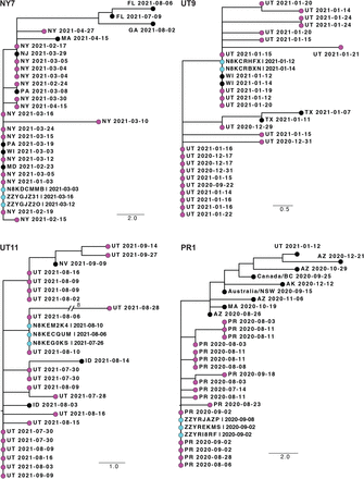 Fig. 2: