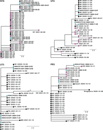 Fig. 3: