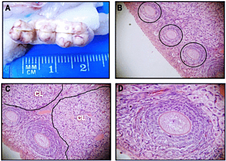 Figure 3.