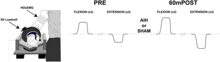 Figure 1: