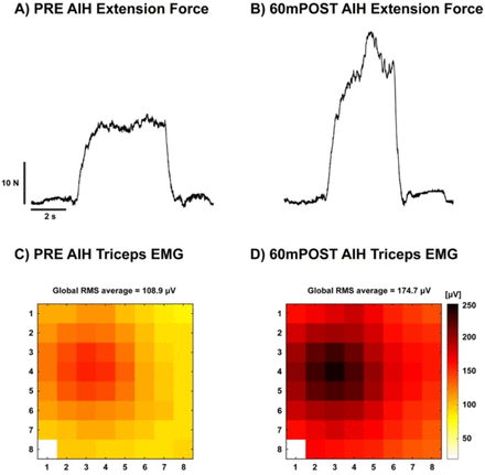 Figure 5: