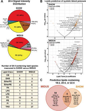 Figure 4: