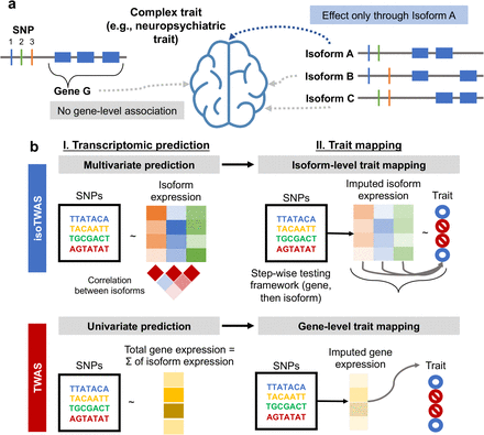 Figure 1: