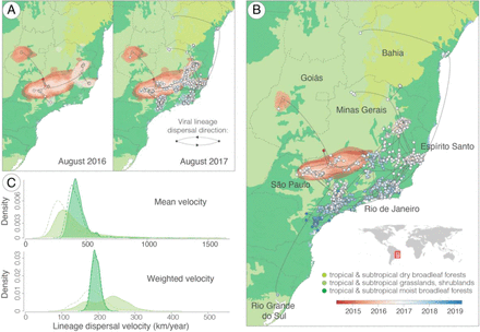 Figure 2: