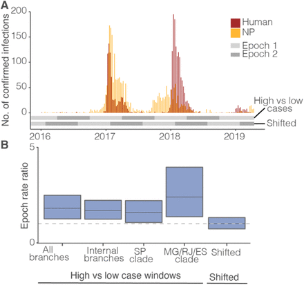 Figure 5: