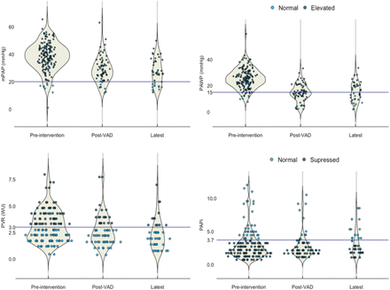 Figure 2B: