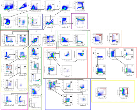 Supplementary Information Figure 1: