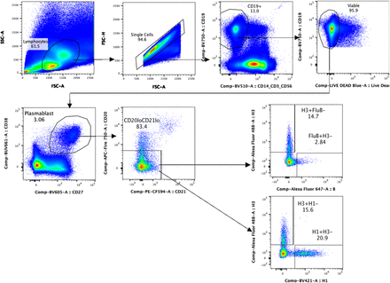 Supplementary Information Figure 3: