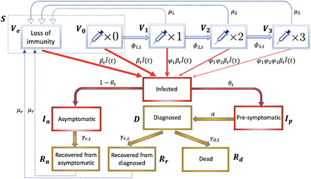 Figure 4: