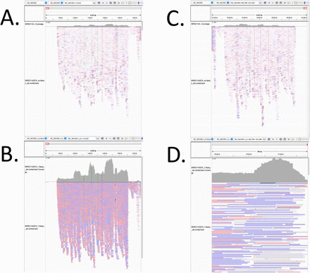 Figure 4: