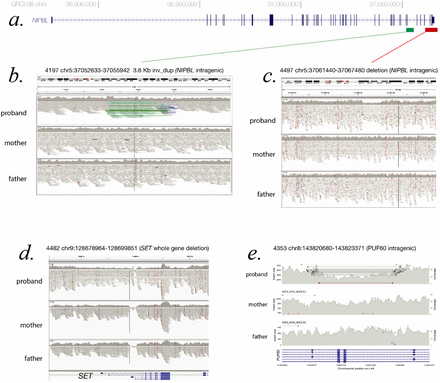 Figure 2: