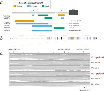 Figure 3: