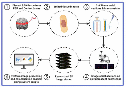 Figure 1: