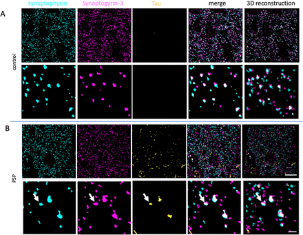 Figure 2: