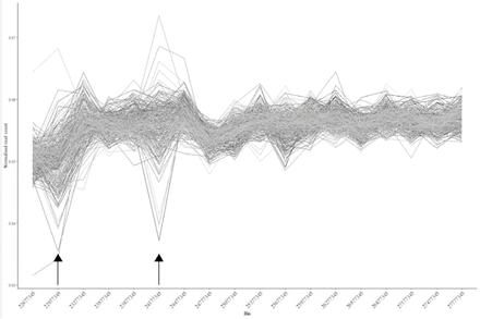 Suppl. Figure 5.