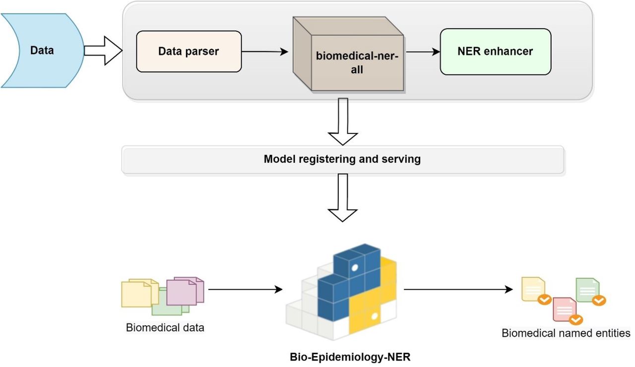 Biomedical named entity normalization via interaction-based