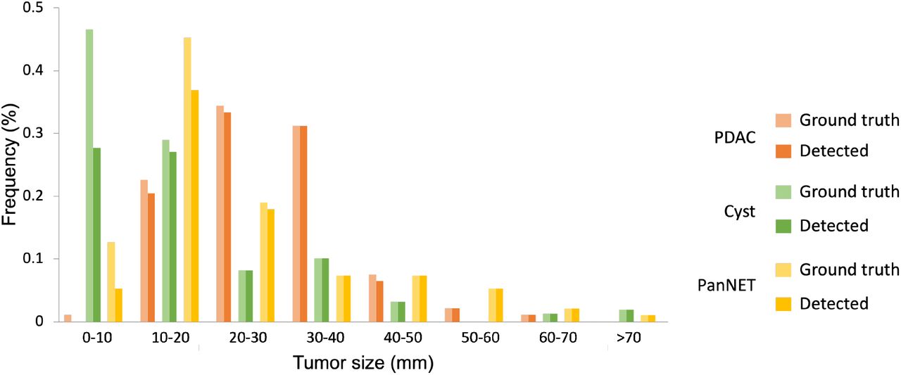 Target shape samples and size distribution of MSD and synapse