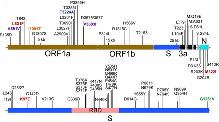 FIGURE 2: