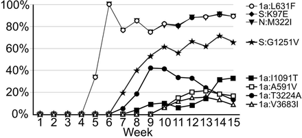 FIGURE 2: