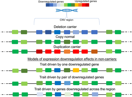 Figure 1: