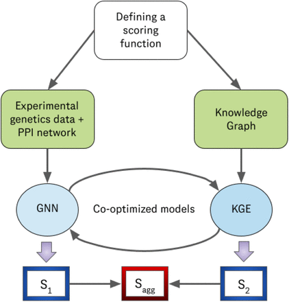 Figure 1: