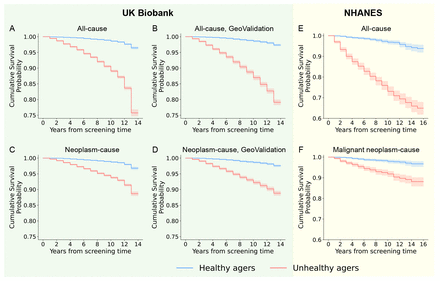 Figure 3: