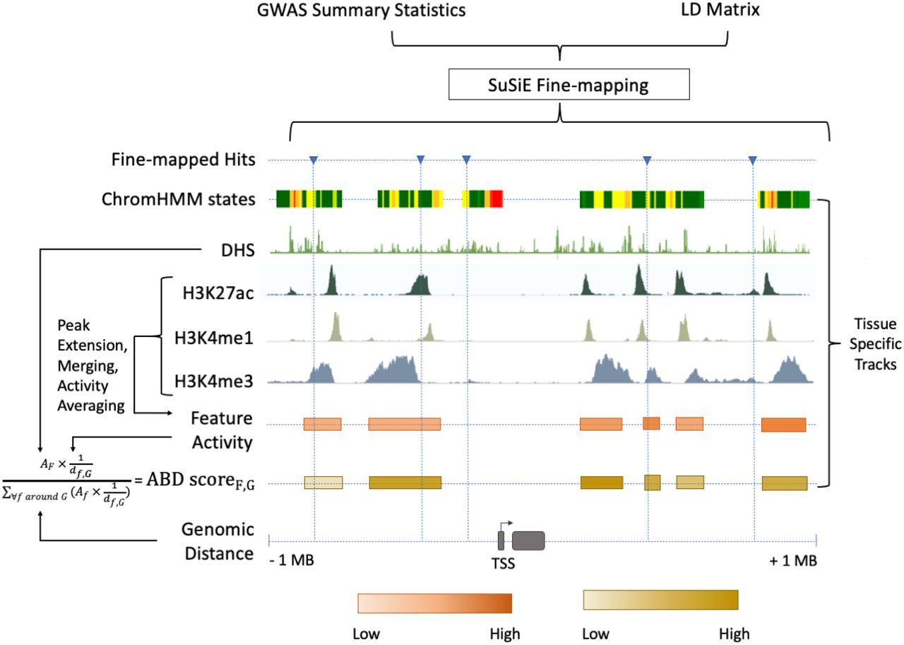 Exon deletions of the EP300 and CREBBP genes in two children with