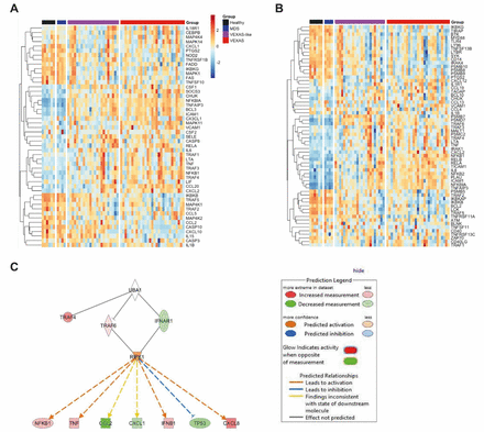 Extended data Fig. 4.