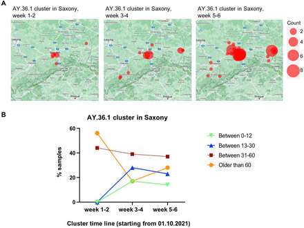 Figure 6: