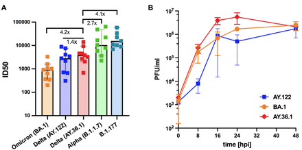 Figure 7: