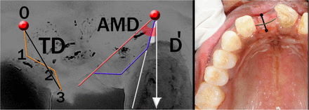 Figure 4: