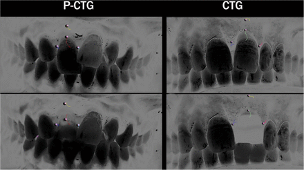 Figure 5: