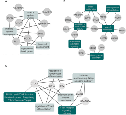 Figure 6: