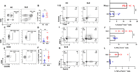 Fig 1.