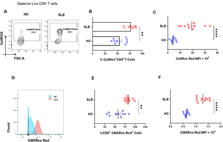 Fig 3.