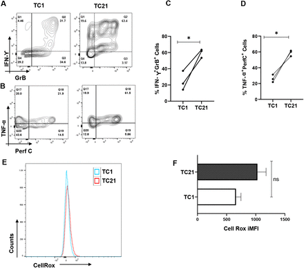 Fig 8.