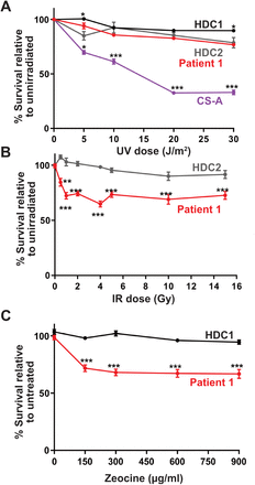 Figure 3: