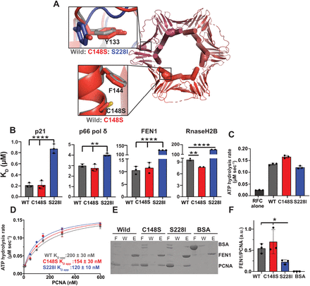 Figure 4: