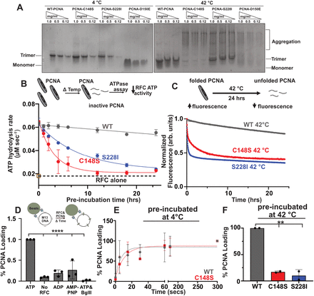 Figure 6: