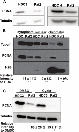 Figure 7: