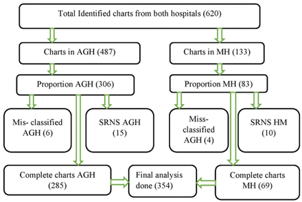 Figure 1: