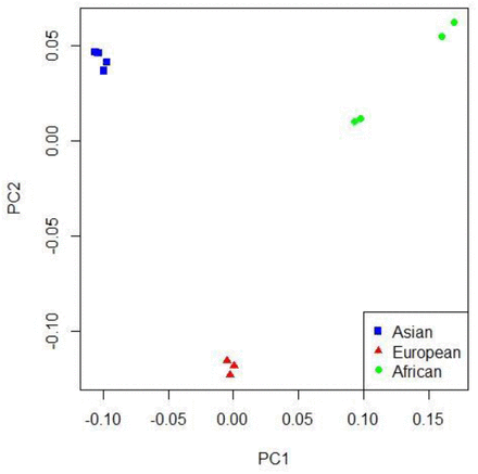 Figure 4: