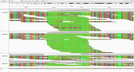 Figure S1: