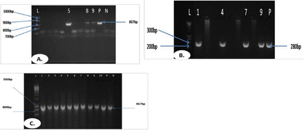 Figure 3.2: