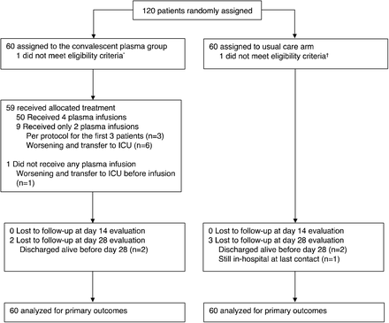 Figure 1: