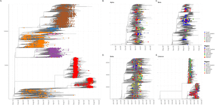 Figure 3: