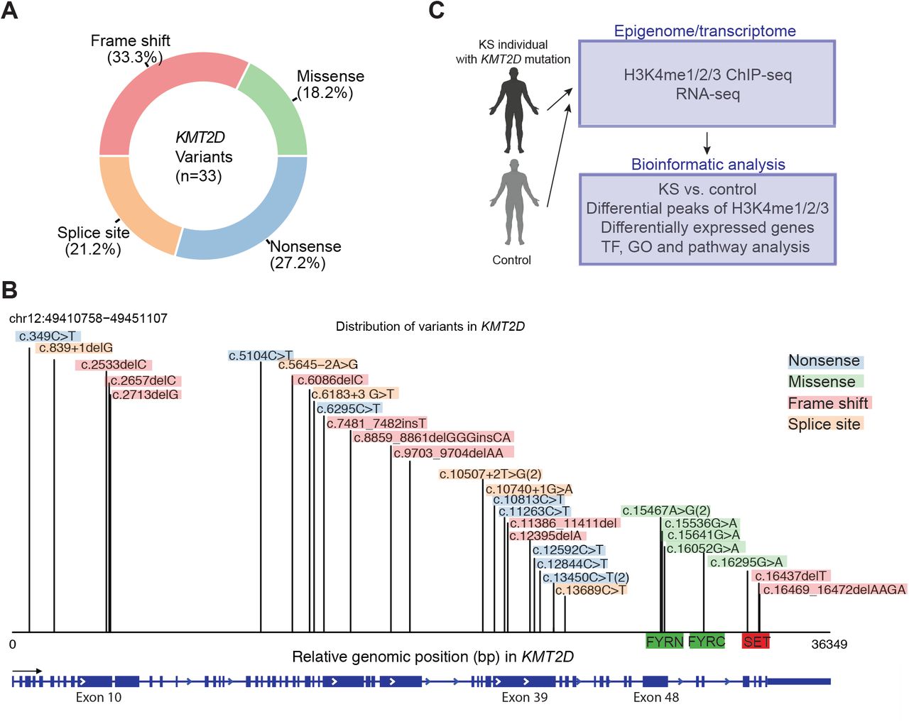 Expanding the phenotype associated to KMT2A variants: overlapping