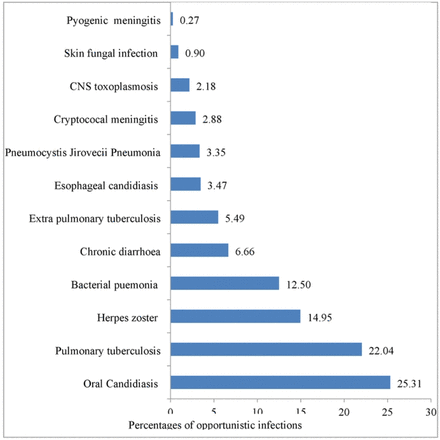 Fig 6: