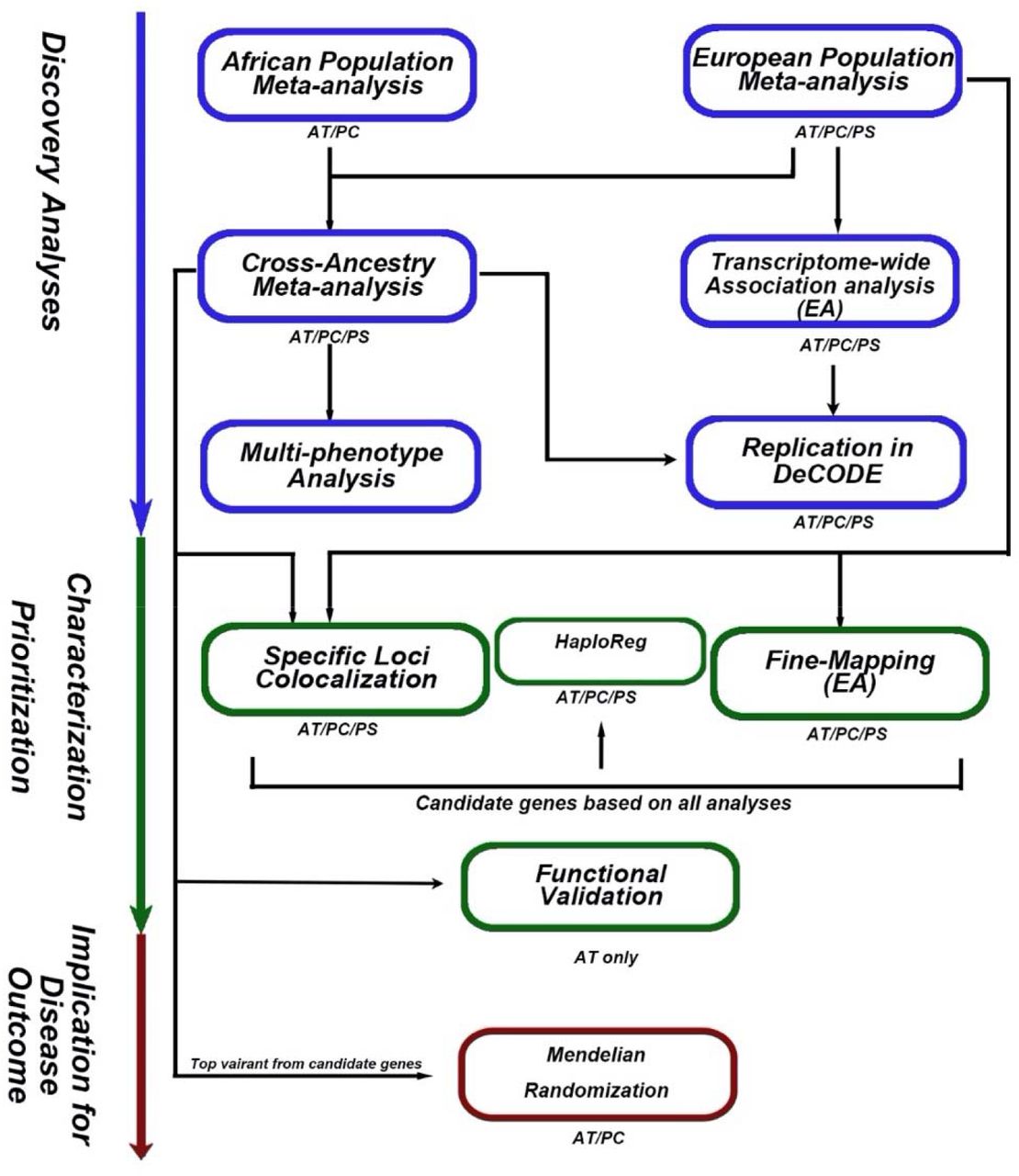 Antithrombin, Protein C, and Protein S: Genome and Transcriptome-Wide  Association Studies Identify 7 Novel Loci Regulating Plasma Levels